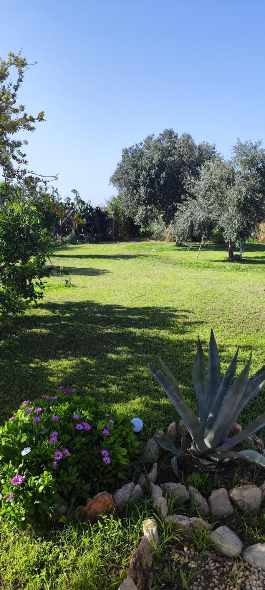 Villa Giummarito B&B Scicli Extérieur photo