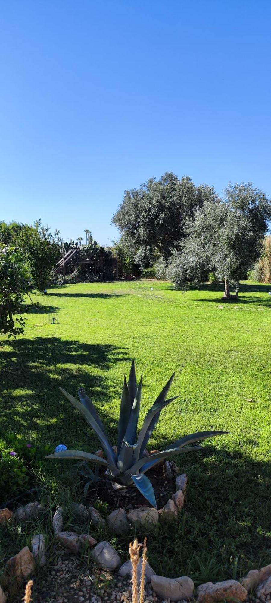 Villa Giummarito B&B Scicli Extérieur photo